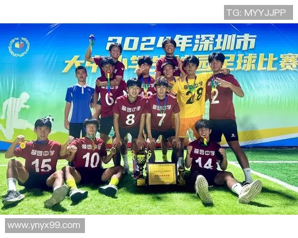 深圳足球队的蜕变之旅城市联赛特别报道展现新风貌与未来希望