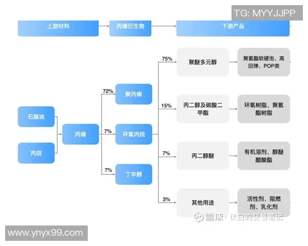 北京网球队战术分析与提升策略探讨全景解析