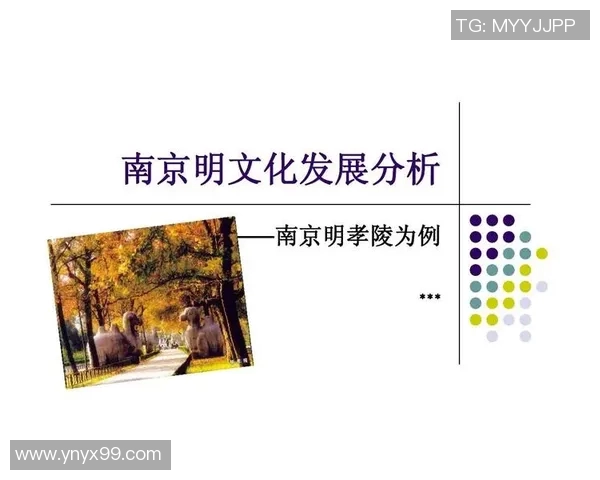 南京排球队配合表现分析与提升策略探讨