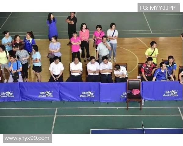 张强专访揭秘乒乓球成功秘诀与训练背后的故事