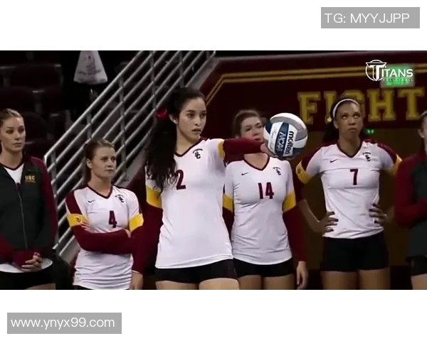 杭州排球队的耐力训练与比赛表现深度剖析与启示