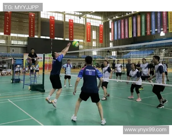 深圳排球队的奋斗与荣耀：一段排球精神的真实纪实之旅