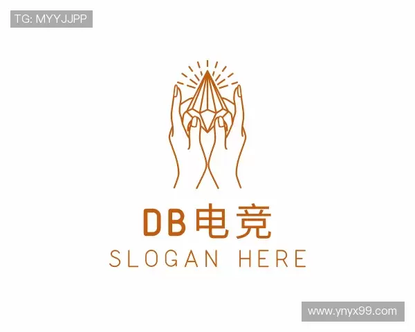 发现DB电竞