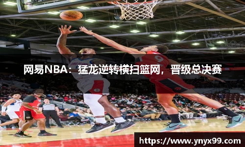 BB贝博登录入口