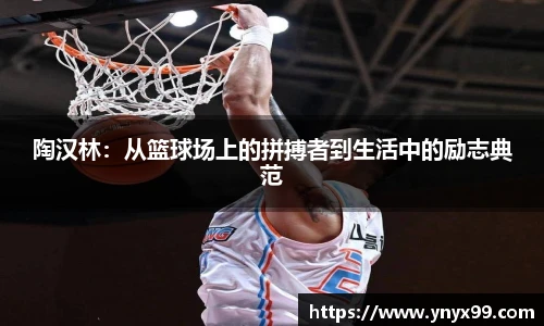BB贝博登录入口