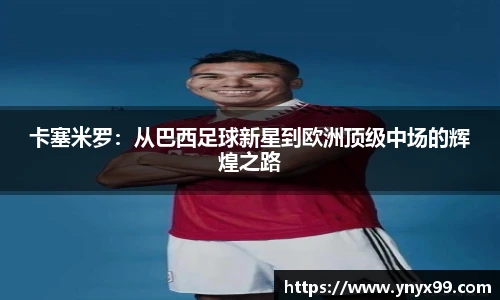 BB贝博登录入口