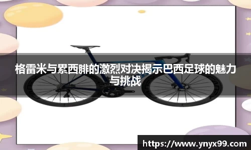 BB贝博登录入口
