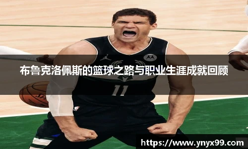 BB贝博登录入口