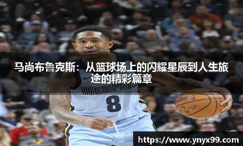BB贝博登录入口